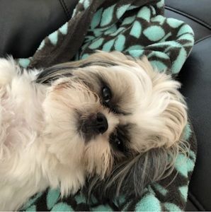 Meet your Posher, Natalie